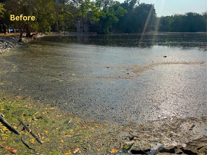 Chikhali Lake Restoration Before and After